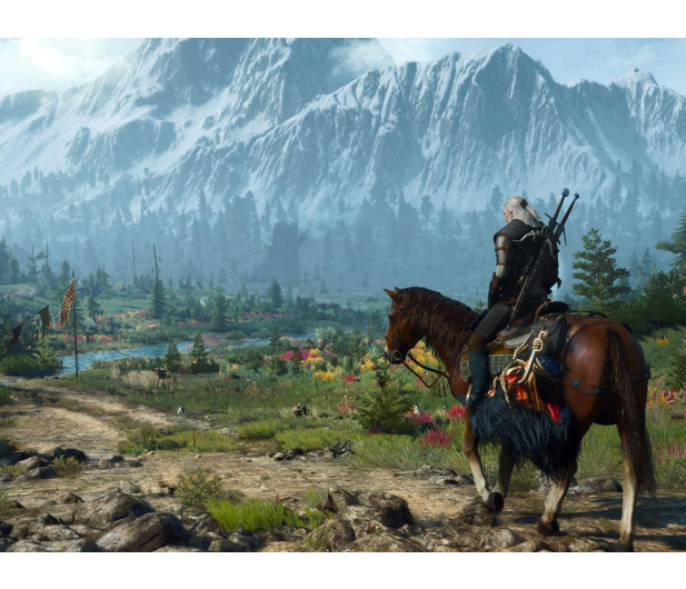 PlayStation Wiedźmin 3 Dziki Gon - Edycja Kompletna + Jubileuszowy Steel - 1363537 - zdjęcie 6